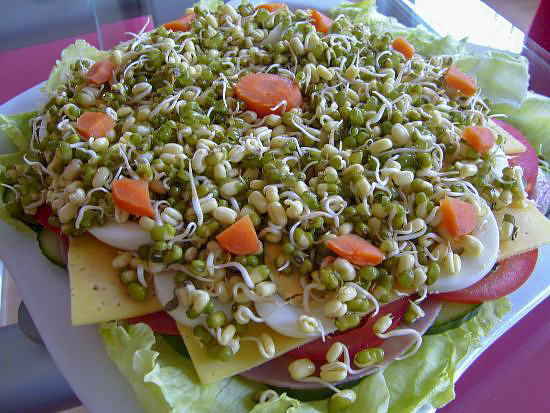 Шефский салат (Chef's Salad)