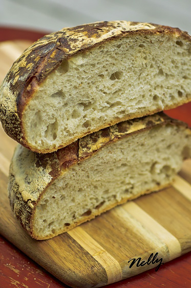 Белый хлеб на ферментированном тесте (биге) от Ришара Бертине