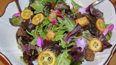 Зеленый салат с кумкватами, беконом и грецкими орехами