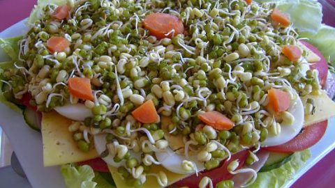 Шефский салат (Chef’s Salad)